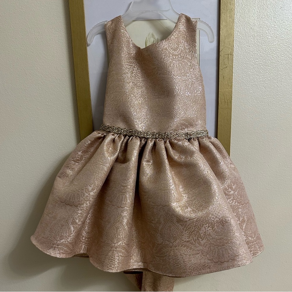 Sweet Kids Inc Jacquard Metallic Dress NWT